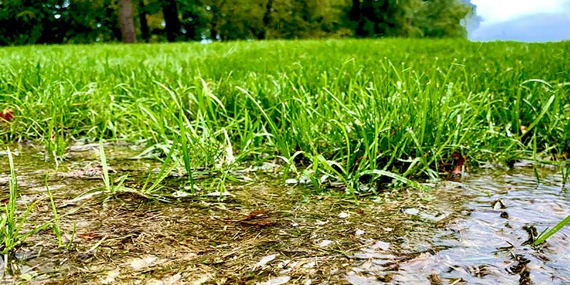 Yard Drainage Repair